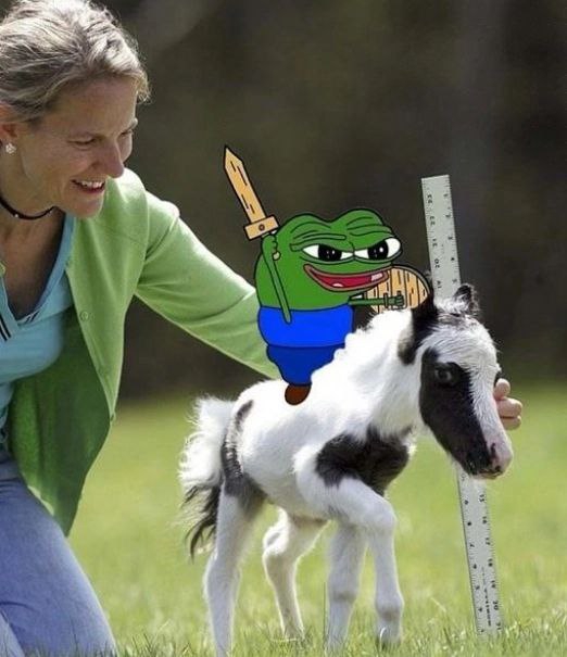 522x605