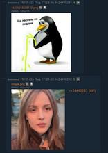 678x953