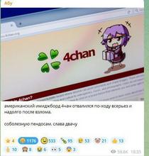 447x469