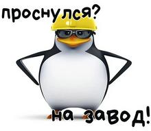 807x704