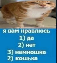 484x532