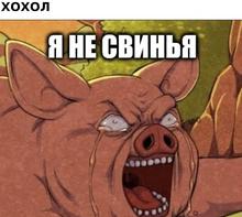 481x431