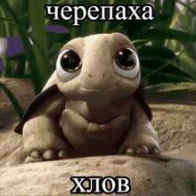 320x320