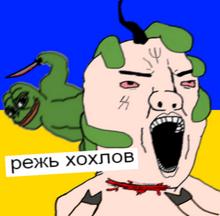 600x590